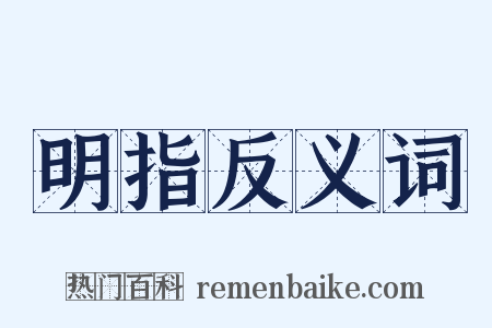 明指反义词是什么意思的图片